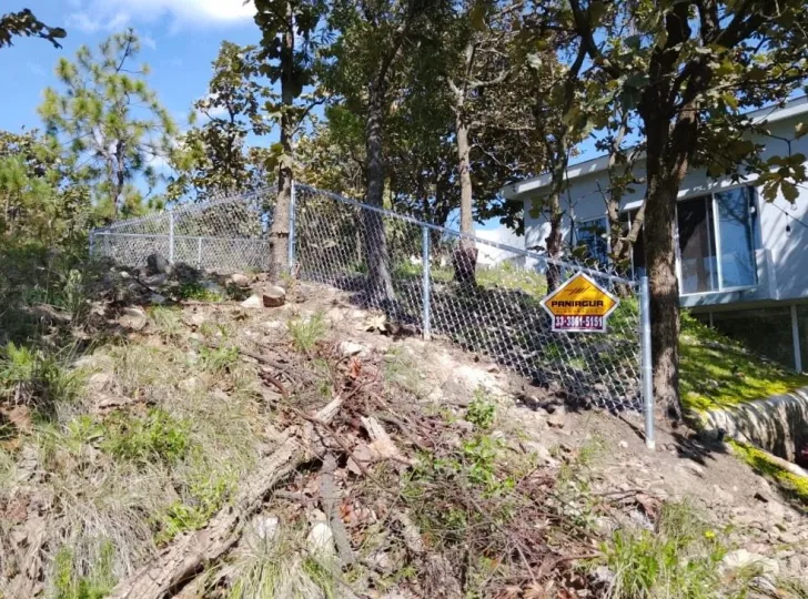 Malla ciclónica con placa Paniagua en un terreno residencial con árboles
