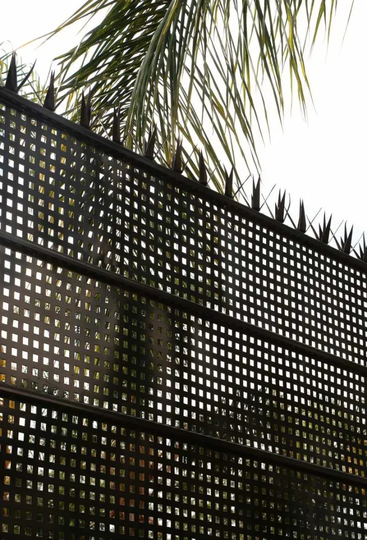Reja Española rematada con puntas de agave